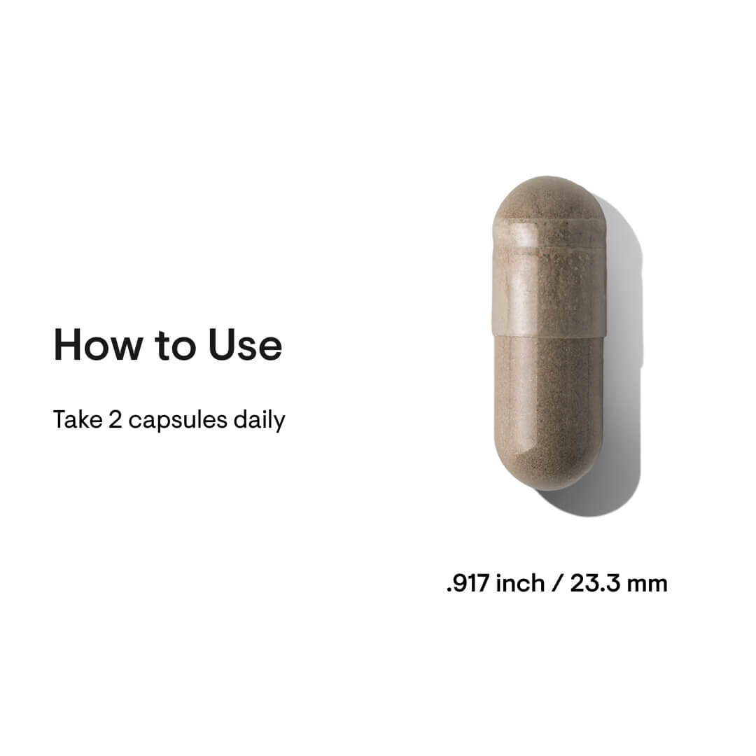 Ginseng Plus thumbnail 4